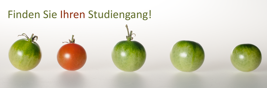 Finden Sie Ihren Studiengang