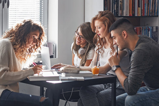 Eine studentische Arbeitsgruppe lernt zu Hause.